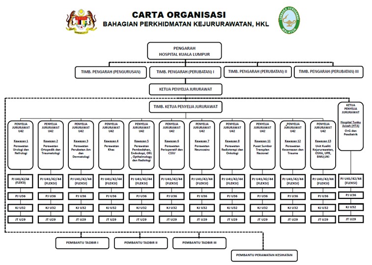 Carta Organisasi